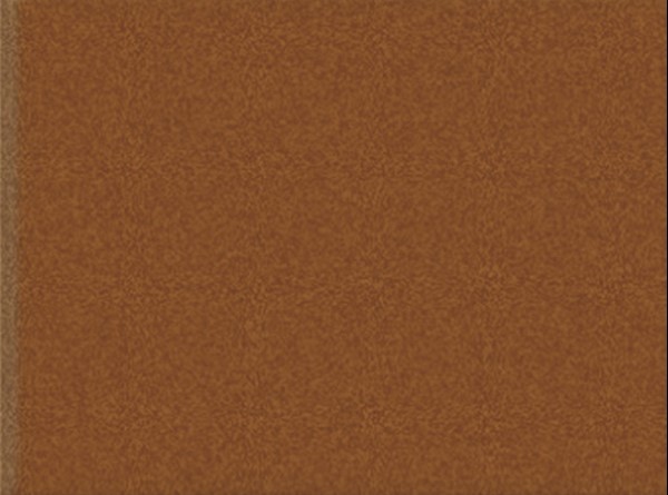 Płytki ścienne rude Mainzu Zócalo Altea Melado-M 15x20 62895