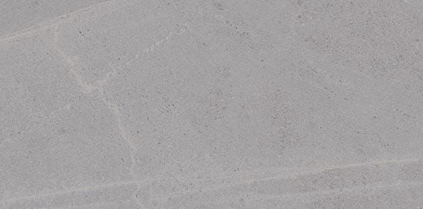 Vives Seine-R Gris 29,3x59,3 płytki kamienne gresowe 155106