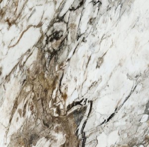 Naxos Rhapsody Fantasy Polished Levigata Rett. 60x60 płytki marmurowe gresowe