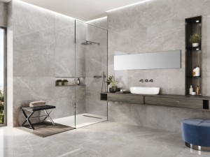 Baldocer Bayona Silver Pulido 60x60 płytka gresowa