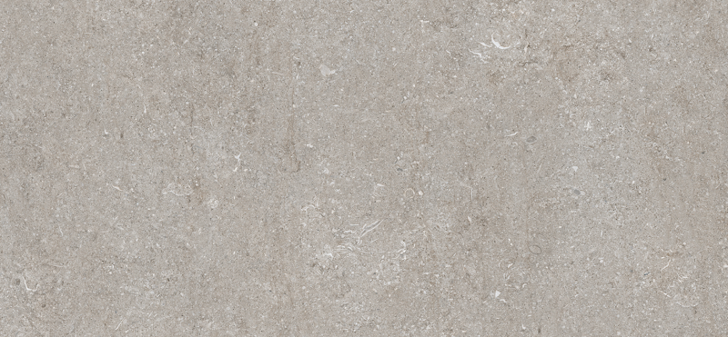 Spiek kwarcowy szary Florim Fossil Grey Mat 160x320 6mm 167342
