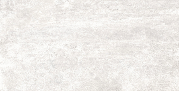 Rondine Ardesie White J86981 60x120 167378