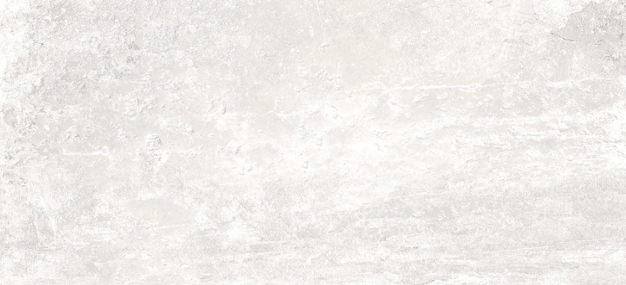 Rondine Ardesie White J86981 60x120 167379