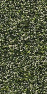 Płytki dekor zielone liście Casalgrande Padana Limpha Gelsomino 120x240 6,5mm