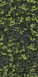 Płytki dekor zielone liście Casalgrande Padana Limpha Helix 120x240 6,5mm