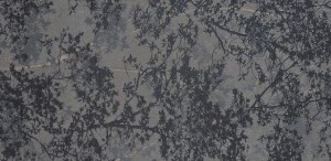Dekor Cercom Soap Stone Oak Grey Naturale 60x120