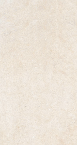 Gres 20mm City White Fossil 45x90x2