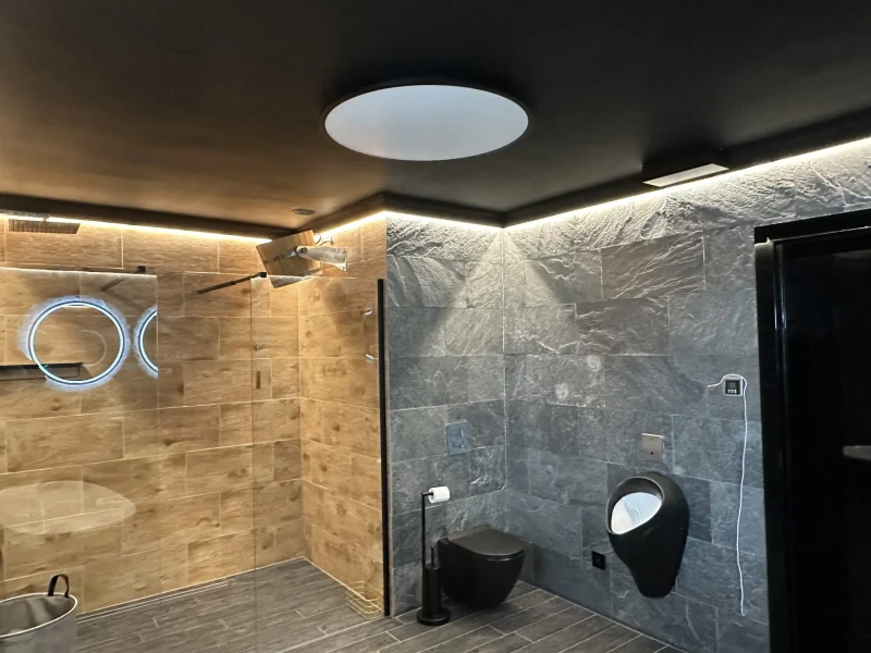 Płytka kwarcytowa Silver Grey naturalna 60x30x1,2 171673