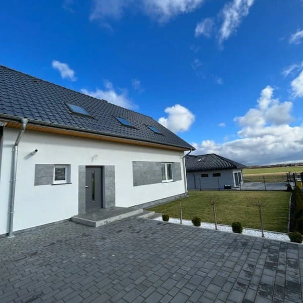 Płytka kwarcytowa Silver Grey naturalna 60x30x1,2 171676