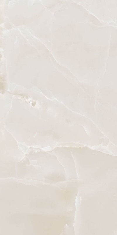 Eccentric Luxe Cloudy White Glossy 60x120x0,6 cm 176576