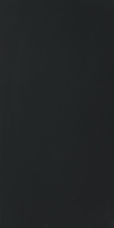 Color Black Glossy STU 160x320x1,2 cm, z siatką, nierektyfikowana 178997