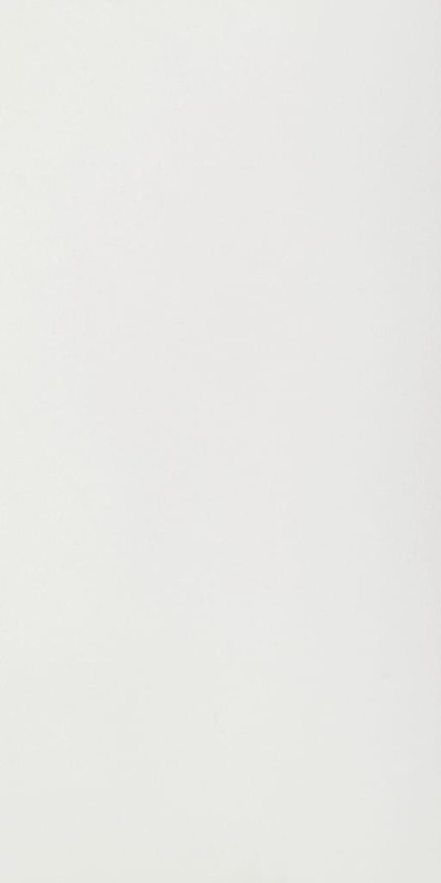 Color White Glossy STU 160x320x1,2 cm, z siatką, nierektyfikowana 179007