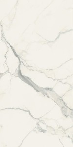 I Classici Statuario Open Book A Glossy 160x320x0,6 cm, Gatunek 2
