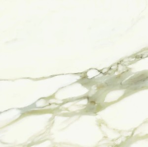Marble One Calacatta Gold Glossy 120x120x0,6 cm