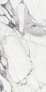 Les Origines De Rex Argent Glossy 120x240x0,6 cm, Gatunek 2