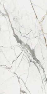 Les Origines De Rex Or Glossy 120x280x0,6 cm