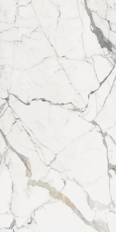 Les Origines De Rex Or Glossy 160x320x0,6 cm 180871