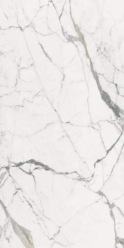 Les Origines De Rex Or Glossy 160x320x0,6 cm 180873