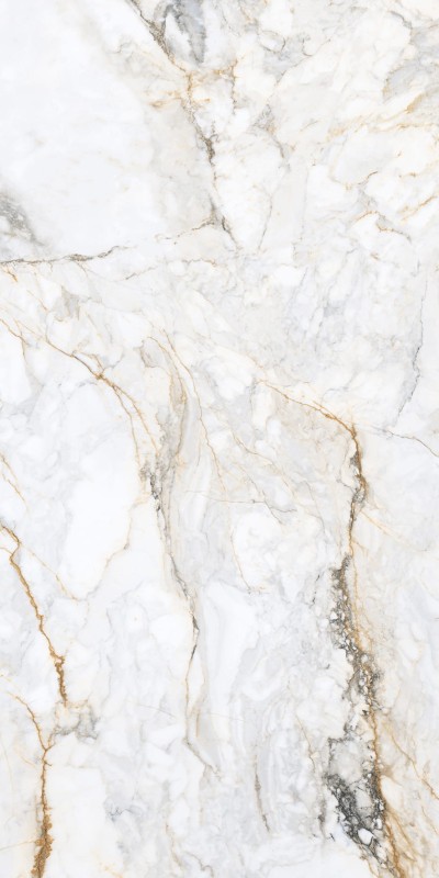 Pisa Golden White Lux Mat (calacatta oro) 120x60x1 cm 169184