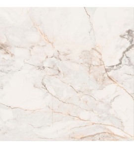 Pisa Golden White Mat (calacatta oro) 120x120