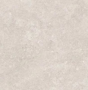 Emil Ceramica Ancienne Gris Nat R11 20 x 20 cm płytka ceramiczna EM72, szary