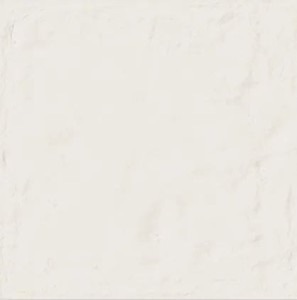 Emil Ceramica Forme Bianco Assoluto Silktech Rt 80 x 80 cm płytka ceramiczna EMG8, biały