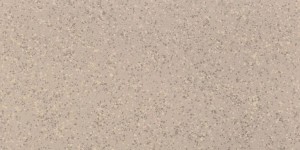 Imola Ceramica Parade Beige 30 x 60 cm - płytka ścienno-podłogowa, naturalna, mat PRDE 36B RM