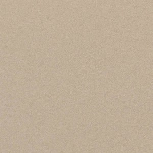Imola Ceramica Parade Beige 60 x 60 cm - płytka ścienno-podłogowa, połysk PRTU 60B LV