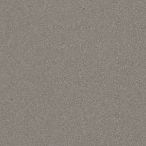Imola Ceramica Parade Grigio 60 x 60 cm - płytka ścienno-podłogowa, połysk PRTU 60G LV