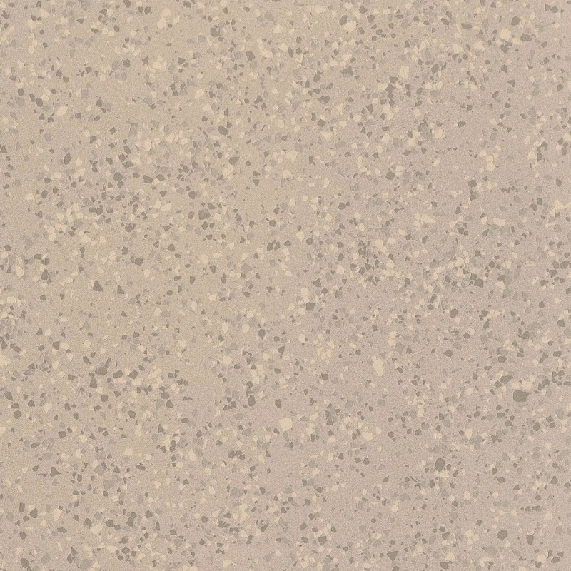 BN-1019