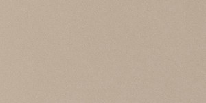 Imola Ceramica Parade Beige 60 x 120 cm - płytka ścienno-podłogowa, połysk PRTU 12B LV
