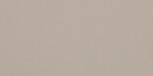 Imola Ceramica Parade Argento 60 x 120 cm - płytka ścienno-podłogowa, naturalna, mat PRTU 12AG RM