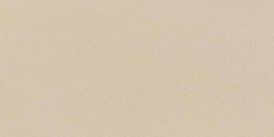 Imola Ceramica Parade Almond 60 x 120 cm - płytka ścienno-podłogowa, naturalna, mat PRTU 12A RM