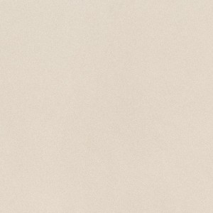 Imola Ceramica Parade Bianco 120 x 120 cm - płytka ścienno-podłogowa, połysk PRTU 120W LV