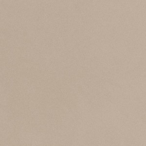 Imola Ceramica Parade Beige 120 x 120 cm - płytka ścienno-podłogowa, połysk PRTU 120B LV
