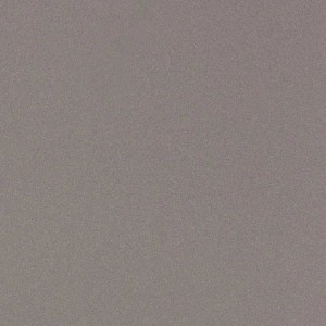 Imola Ceramica Parade Grigio 120 x 120 cm - płytka ścienno-podłogowa, połysk PRTU 120G LV