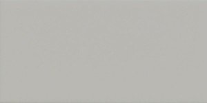 Imola Ceramica Icona Grigio 10 x 20 cm - płytka ścienna, naturalna, błyszcząca, szary ICONA 1020G