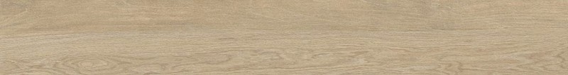 BN-1123