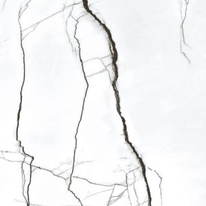 Magnifica Marquina Blanco 120x120 płytki gresowe marmurowe