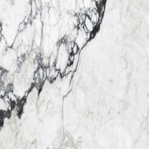 Rex Ceramiche Rex Les Bijoux Calacatta Altissimo Blanc 765759 Poler 120 x 120 cm - płytki gresowe