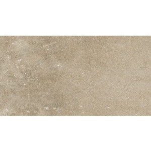 Fioranese Concrete Senape 30x60 BE362R płytki betonowe gresowe