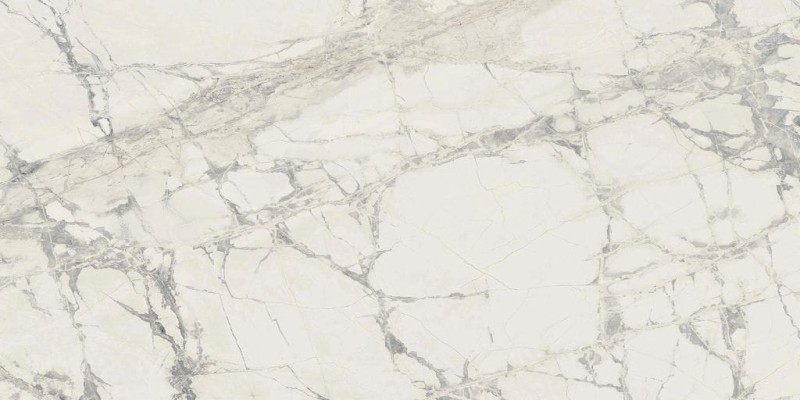 BN-1646