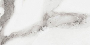 Rex Ceramiche Les Orgines de Rex Argent 769851 Poler 30 x 60 cm - płytki gresowe