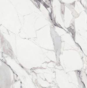 Rex Ceramiche Les Orgines de Rex Argent 769955 Matowe 120 x 120 cm - płytki gresowe
