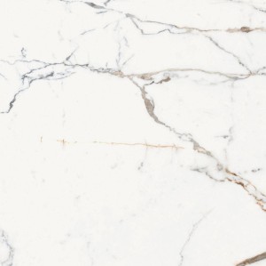 Rex Ceramiche Les Orgines de Rex Or 769958 Matowe 120 x 120 cm - płytki gresowe