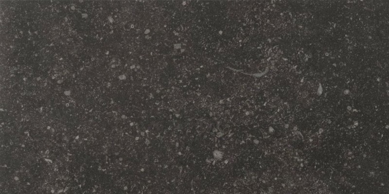 BN-1912