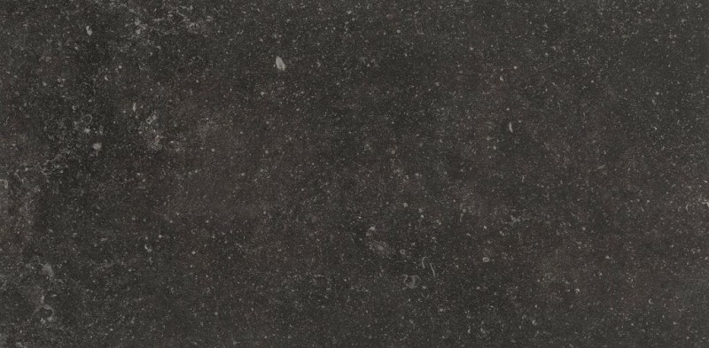 BN-1915