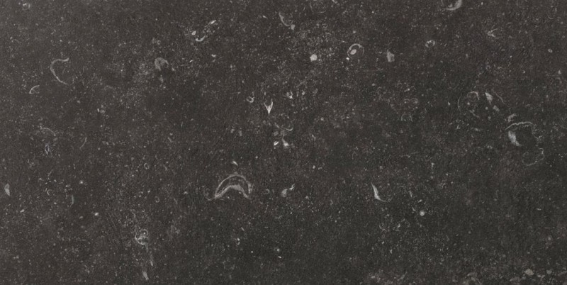 BN-1916