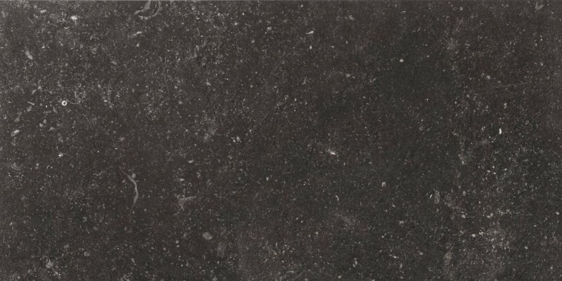 BN-1916