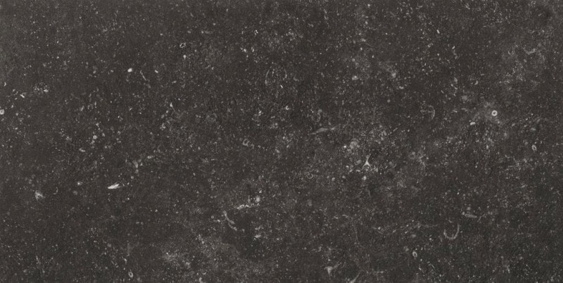 BN-1916